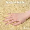 Lot de 2 Tapis de Bain Antidérapant microfibre 60x90cm beige - voonot.com