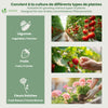 Mini Serre de jardin avec 2 portes enroulables bache PE renforcee 135g/m2 180x90x90cm Vert - voonot.com