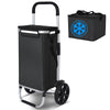 Chariot de course pliable aluminium 2 roues avec sac isotherme noir - voonot.com