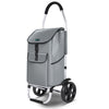 Chariot de course pliable aluminium 2 roues gris - voonot.com