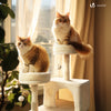 Arbre a chat Grande taille 5 niveaux avec griffoir grattoir 168cm beige - voonot.com