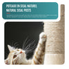 Arbre a chat 155cm multi niveaux Griffoir et niche Beige - voonot.com