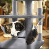 Arbre a chat Grande taille 5 niveaux avec griffoir grattoir 168cm gris - voonot.com