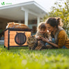 Maison pour Chat en bois avec toit bitumé et entrée en forme d'oreilles de chat - voonot.com