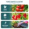 Serre de jardin Serre tomates avec grande porte enroulable bache PE renforcee 135g/m2 100x50x150cm Blanc - voonot.com