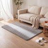 Tapis de salon poils ras doux antiderapant 80x150cm uni gris - voonot.com