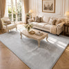 Tapis de salon poils ras doux antiderapant 200x300cm uni gris - voonot.com