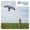 Cerf volant anti oiseaux effaroucheur sans mat Faucon modele A - voonot.com