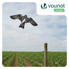 Cerf volant anti oiseaux effaroucheur sans mat Faucon modele F - voonot.com