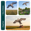 Cerf volant anti oiseaux effaroucheur sans mat Faucon modele A - voonot.com