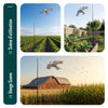 Lot de 2 Cerf volant anti oiseaux effaroucheur avec mat Faucon modele A et G - voonot.com