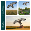 Cerf volant anti oiseaux effaroucheur sans mat Faucon modele E - voonot.com