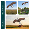 Cerf volant anti oiseaux effaroucheur sans mat Faucon modele B - voonot.com