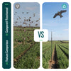 Lot de 2 Cerf volant anti oiseaux effaroucheur avec mat Faucon modele D et G - voonot.com