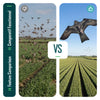 Cerf volant anti oiseaux effaroucheur sans mat Faucon modele F - voonot.com