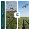 Lot de 2 Cerf volant anti oiseaux effaroucheur avec mat Faucon modele E et G - voonot.com