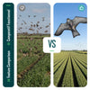 Cerf volant anti oiseaux effaroucheur sans mat Faucon modele C - voonot.com