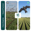 Cerf volant anti oiseaux effaroucheur sans mat Faucon modele D - voonot.com