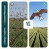 Cerf volant anti oiseaux effaroucheur sans mat Faucon modele B - voonot.com