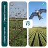 Cerf volant anti oiseaux effaroucheur sans mat Faucon modele A - voonot.com
