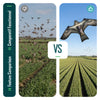 Cerf volant anti oiseaux effaroucheur sans mat Faucon modele E - voonot.com