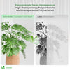 14 x Plaques de polycarbonate alveolaires transparent creux 4mm 121x60.5cm - voonot.com
