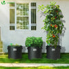 Lot 5 sacs de plantation non tisse 65L avec poignee Noir - voonot.com